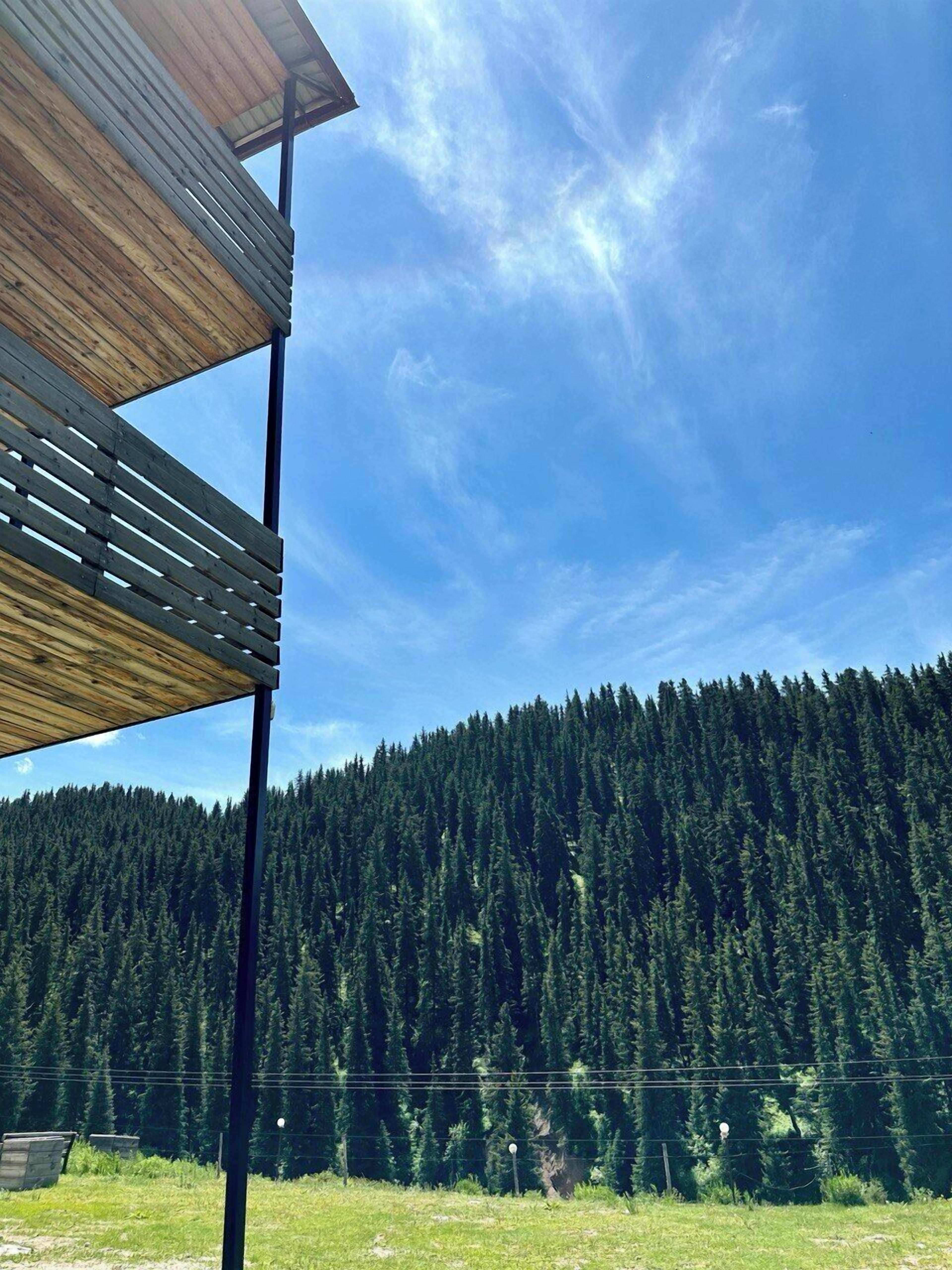 A wooden structure with a slatted roof overlooking a dense forest.