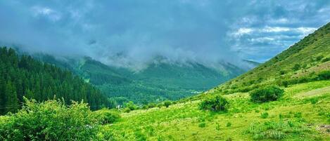 Un valle verde y exuberante con una cadena montañosa al fondo.