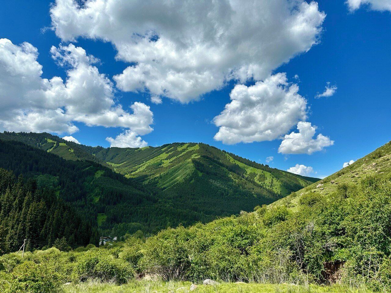 Un paisaje montañoso con exuberante vegetación y un cielo azul despejado.