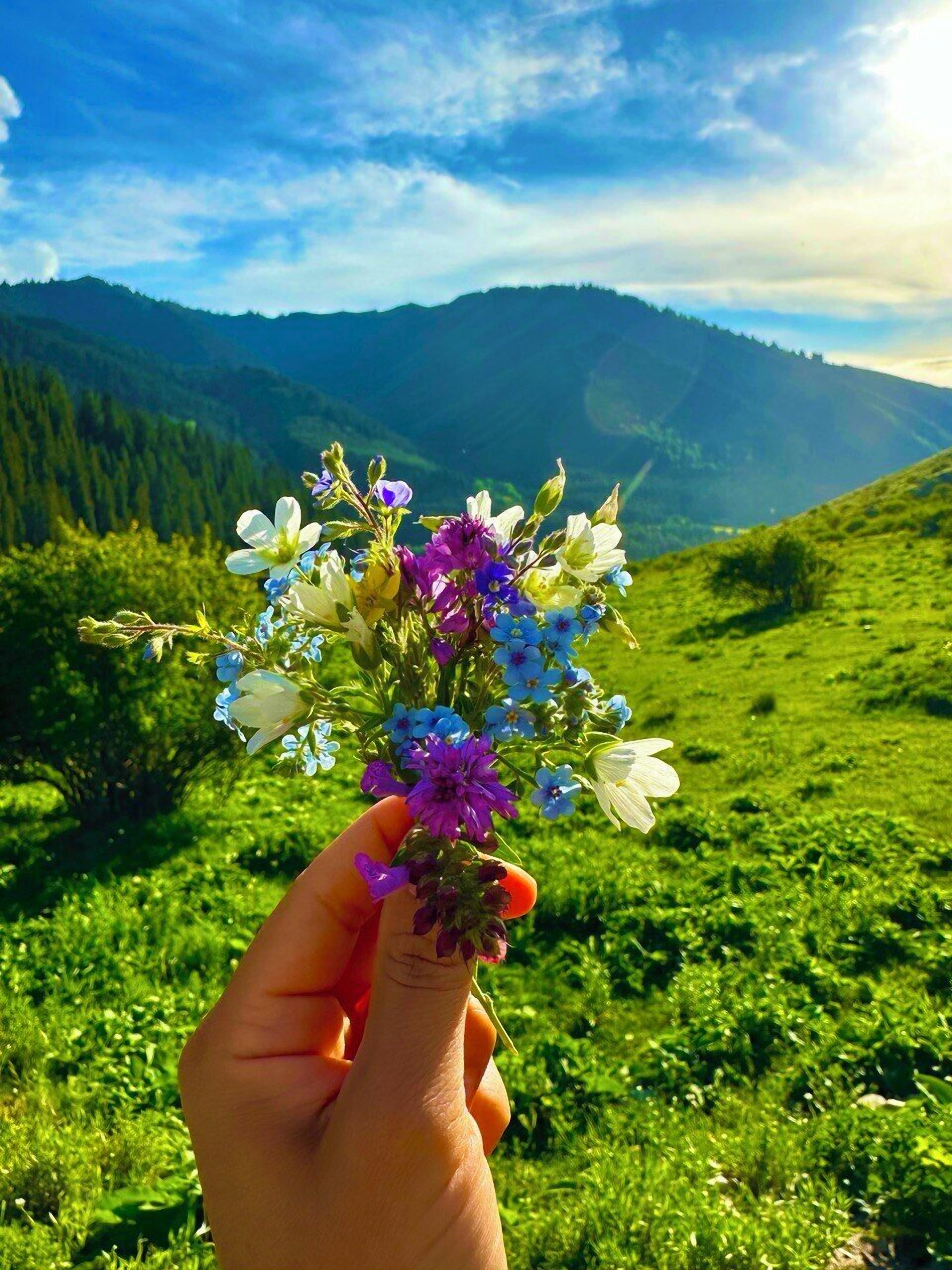 Een hand houdt een boeket bloemen vast, met op de achtergrond een groen veld en bergen.