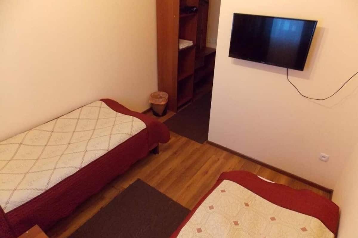 Basic Twin Room