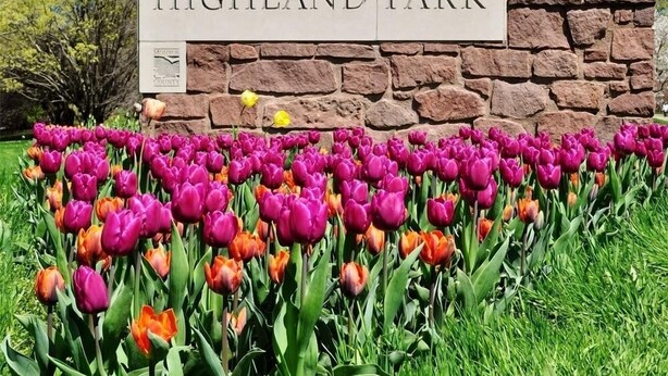 A sign for Highland Park in Monroeville, surrounded by vibrant tulips. - A Cozy, Homely, Fun Retreat minutes from downtown (Rochester)