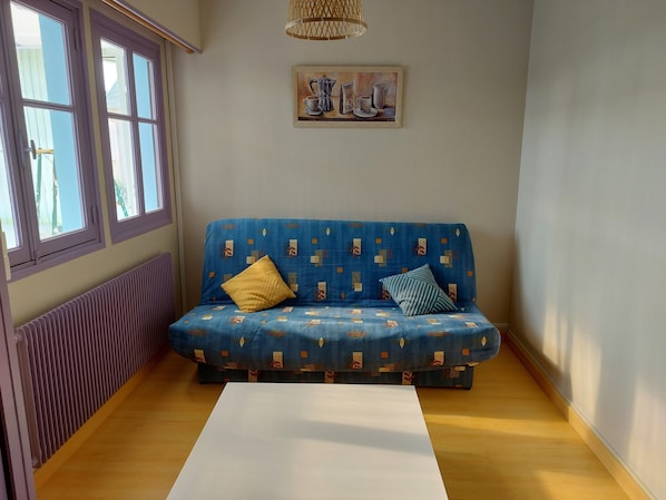 Smart TV, chimenea y libros