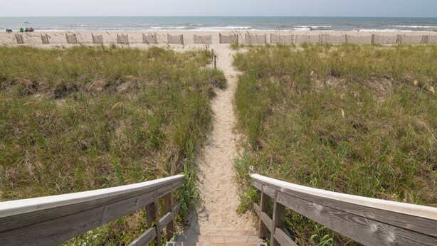 Un sentiero di legno conduce a una spiaggia, con una recinzione e dune erbose.