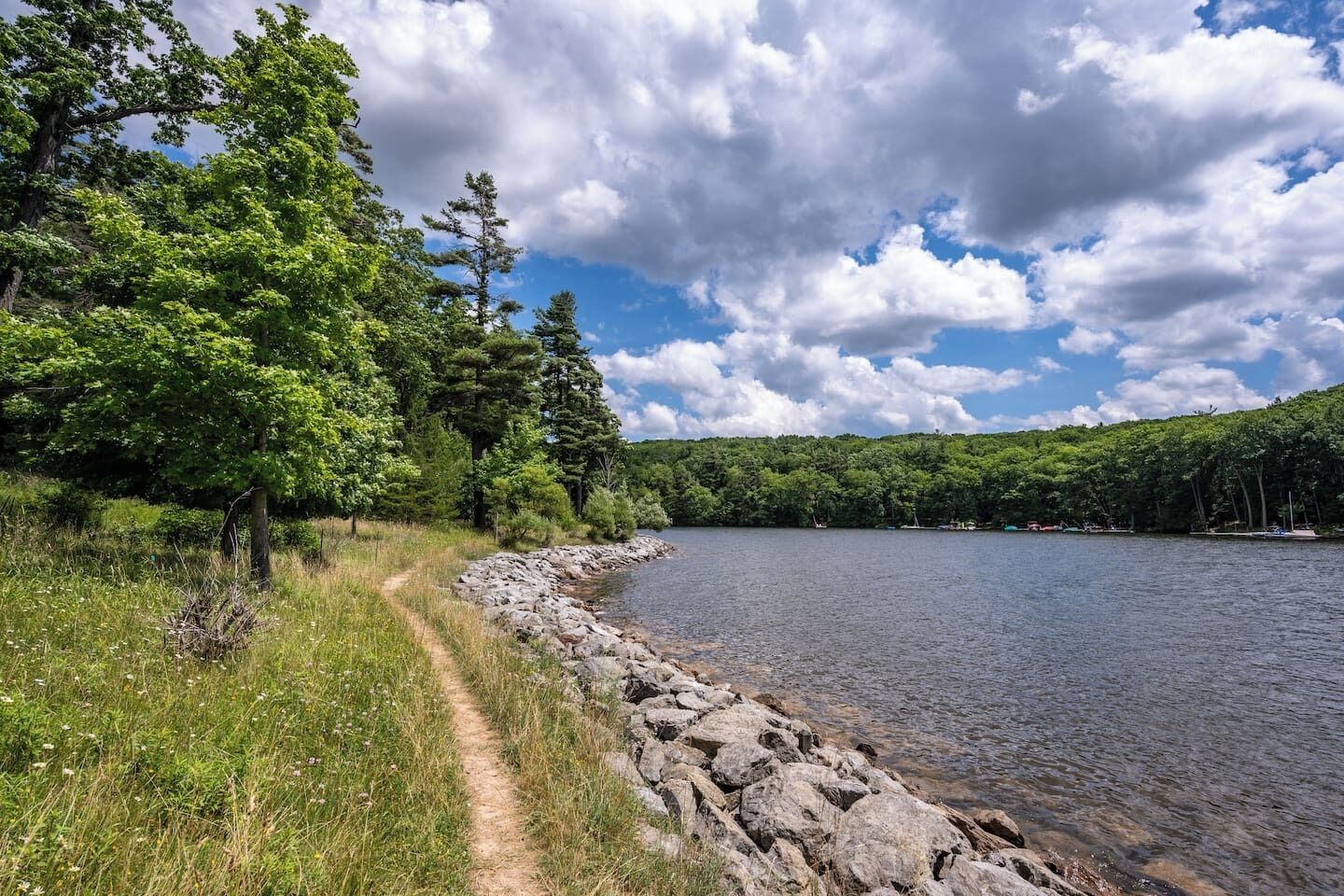 A lakeside path with a rocky shoreline and dense trees.