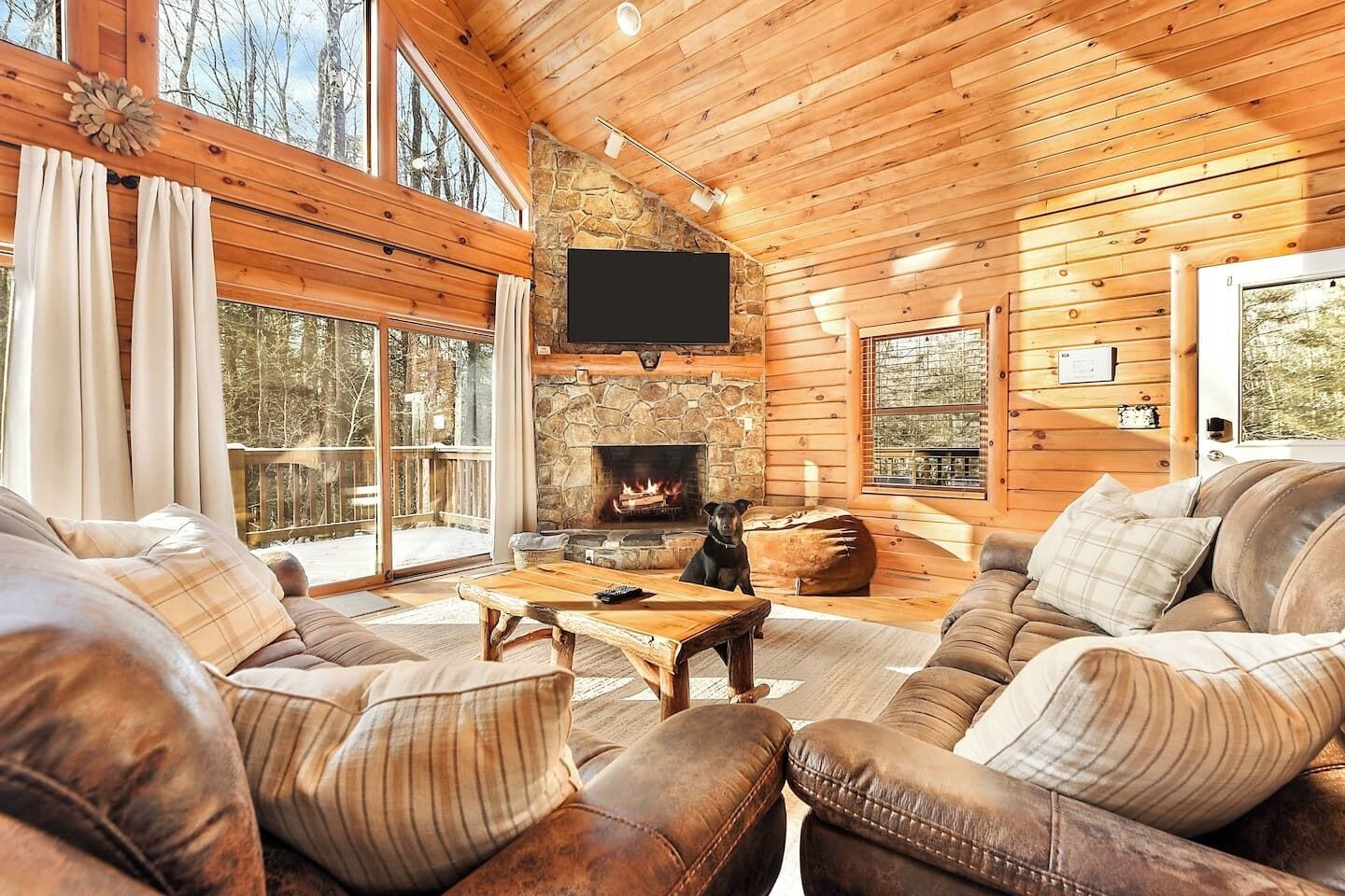 Smart TV, fireplace, video game console, DVD player