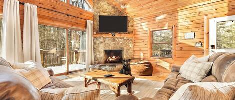 TV connectée, cheminée, console de jeux vidéo, lecteur de DVD