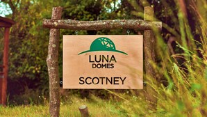 Et træskilt med teksten "LUNA DOMES SCOTNEY" i et skovområde.