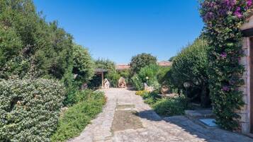 Área da propriedade