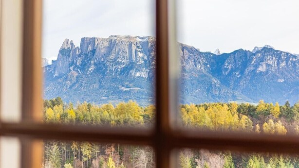 Berglanschaft durch ein Fenster, Spiegelung der Bäume darin.