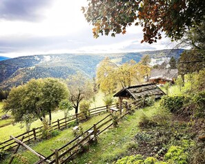Parco della struttura
