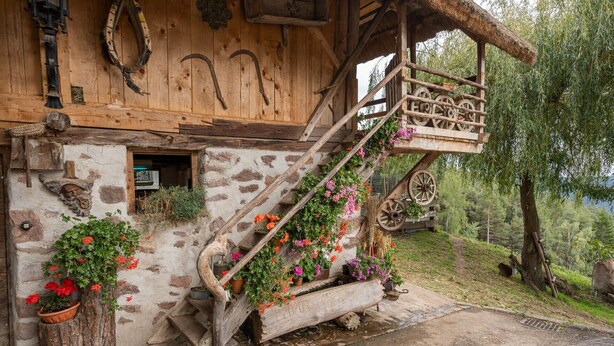 Un bâtiment rustique en bois, doté d’un escalier menant à une mezzanine, entouré de verdure et bordé d’un mur de pierres.