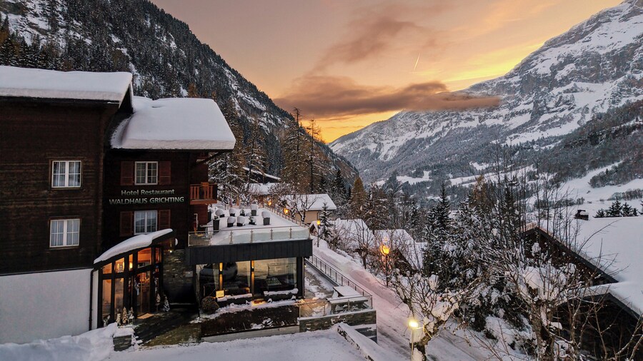 Hotel Waldhaus
