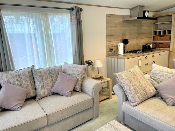 Télévision à écran plat, cheminée, lecteur de DVD