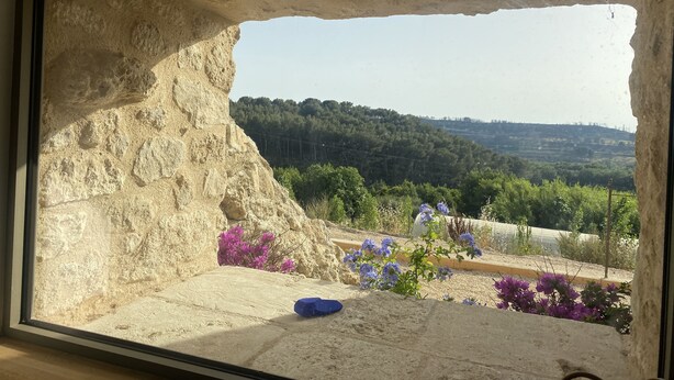 A stone-framed window with a view of a hillside and flowering plants.