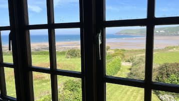 A view through a window with a view of a beach and grassy areas.