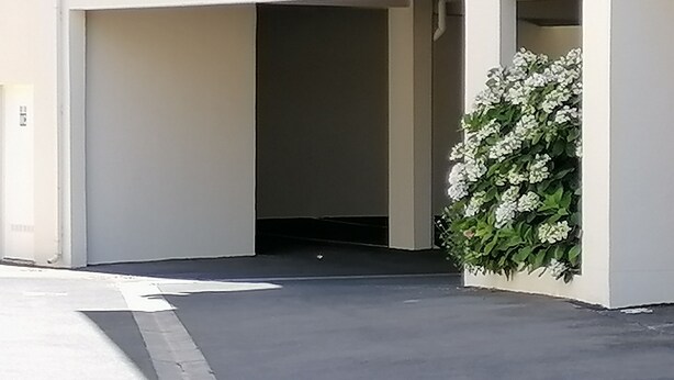 Een gebouw met een open garagepoort, een betonnen oprit en een muur met witte bloemen.