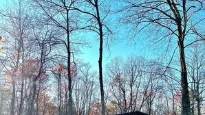 A cabin with a deck and a shed in a wooded area. - City Escape: Cozy 2 bedroom Chalet in Jim Thorpe (Jim Thorpe)