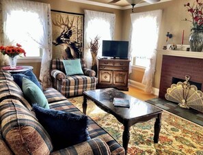 TV, DVD player, video library