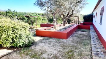 Stroll through the serene garden, surrounded by lush greenery and vibrant flowers, with a shaded pergola nearby.