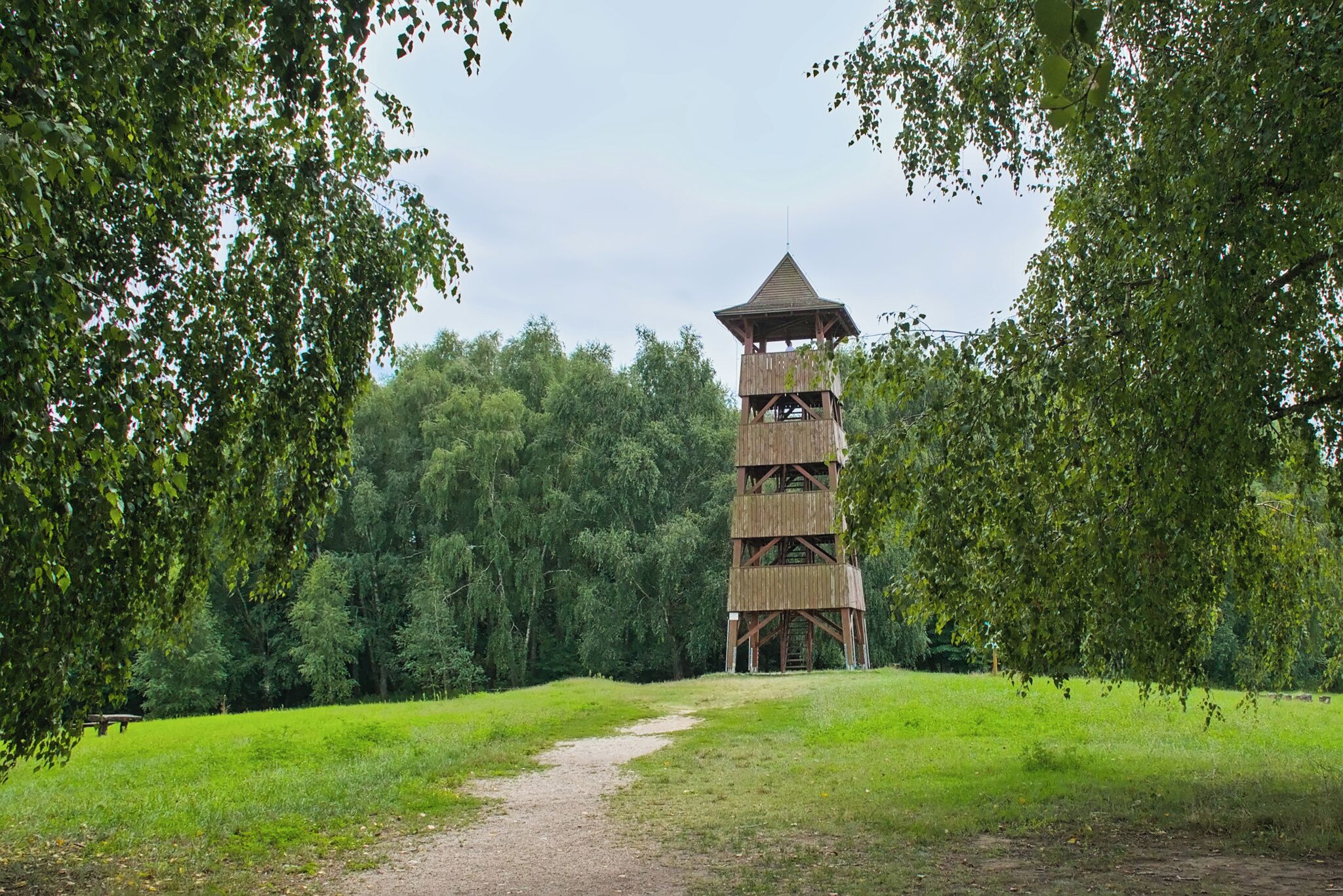 Eine mehrstöckige Holzturmkonstruktion in bewaldeter Landschaft, mit einem Feldweg, der darauf führt.