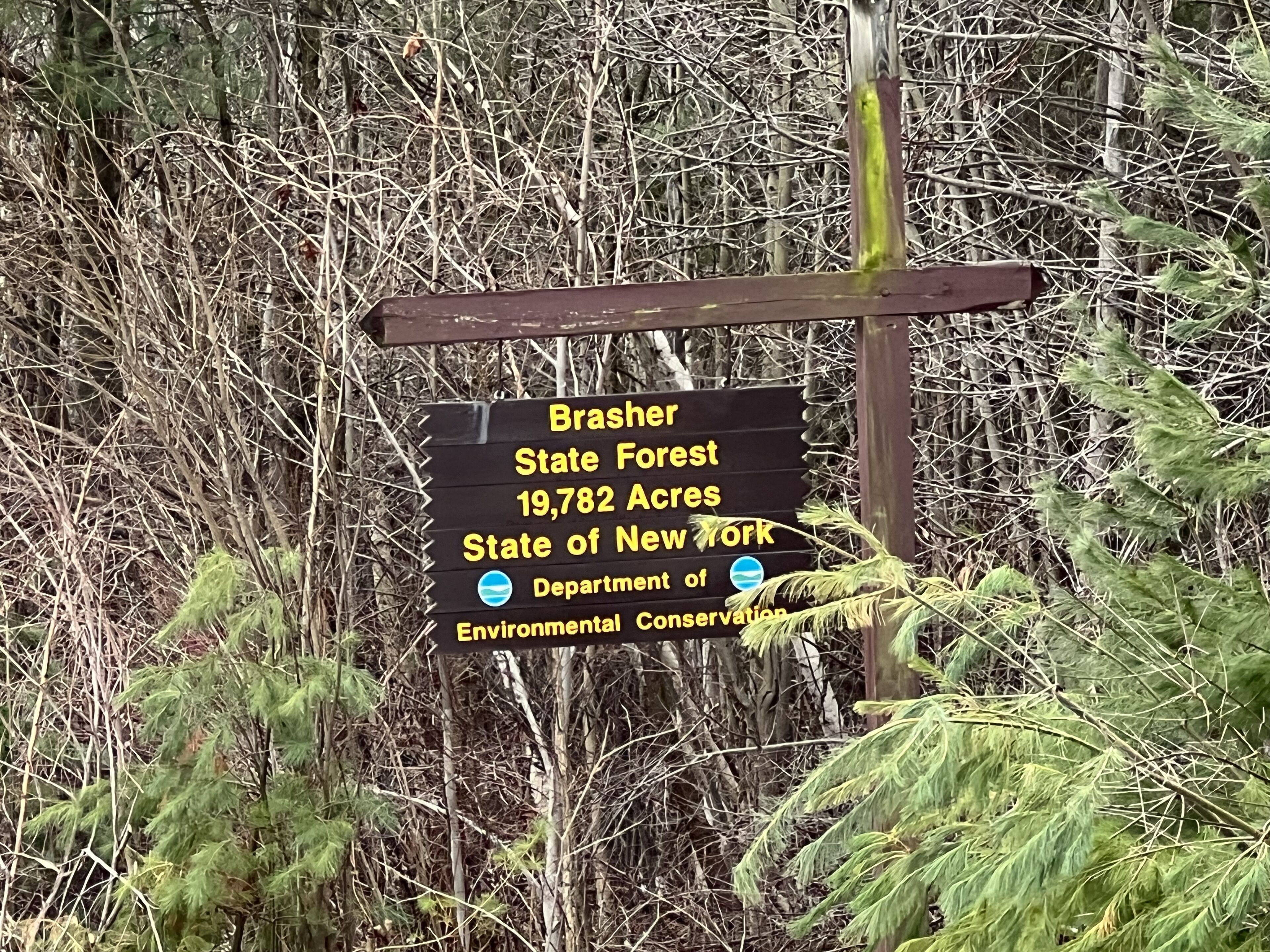 Naamplaatje voor Brusher State Forest, oppervlakte 80,73 hectare, beheerd door de New York Department of Environmental Conservation.