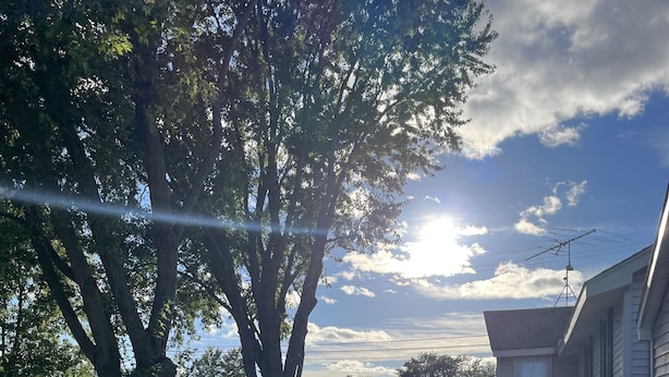 Un jardin avec un grand arbre, des tables de pique-nique et une maison dotée d’une terrasse.