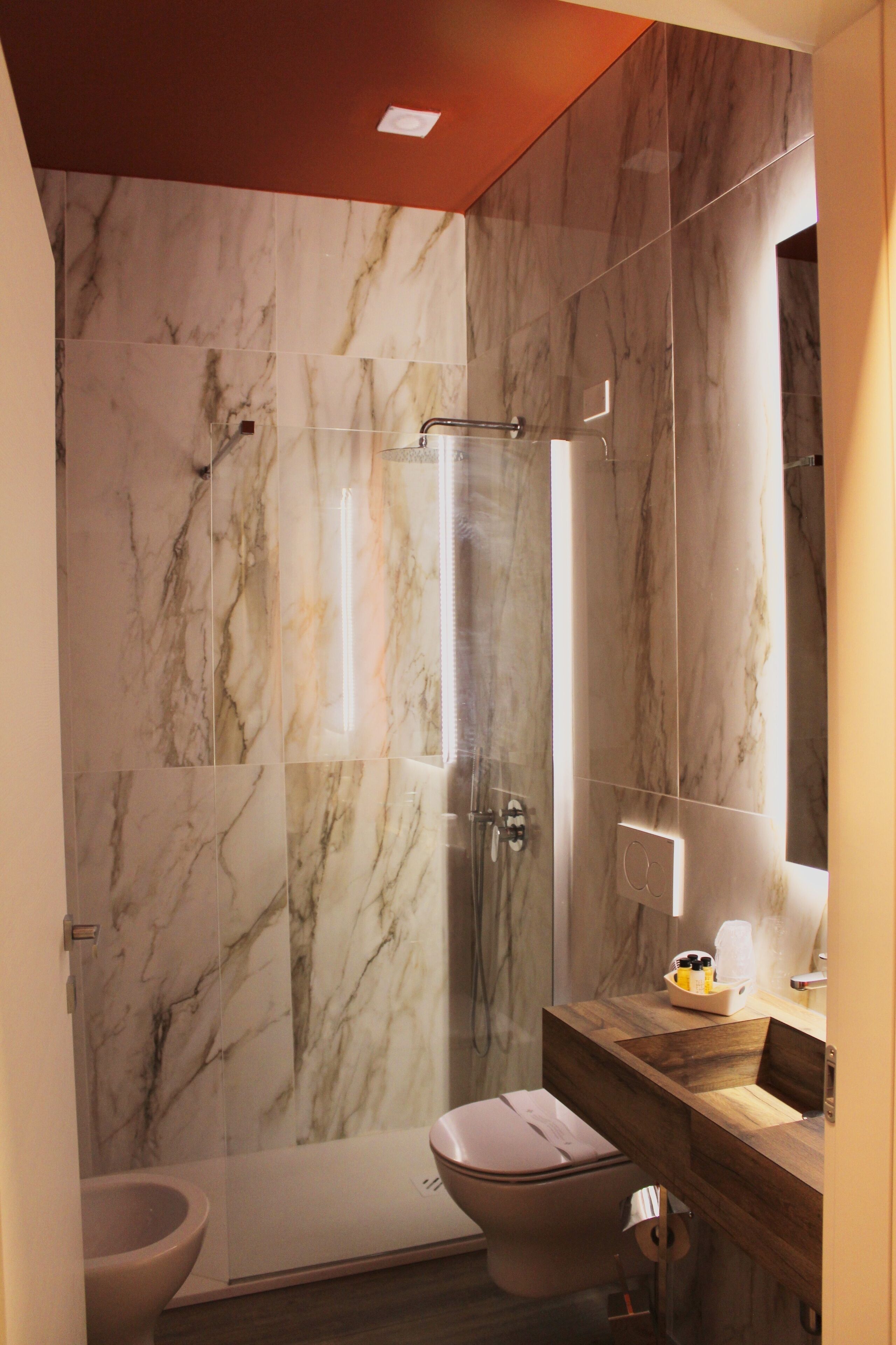 Ducha, cabezal de ducha tipo lluvia, secador de pelo y bidé