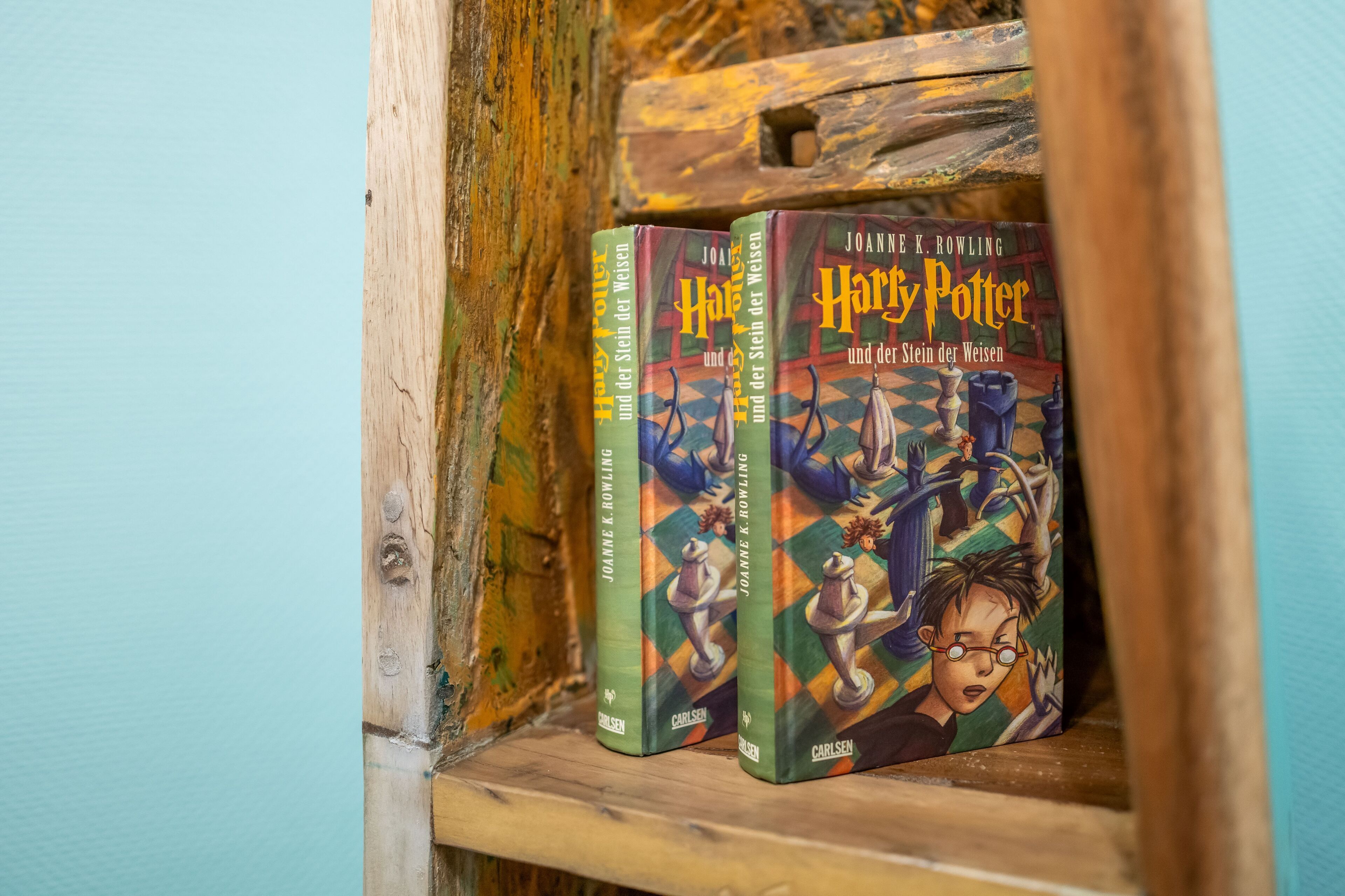 Two books titled 'Harry Potter' on a wooden shelf.