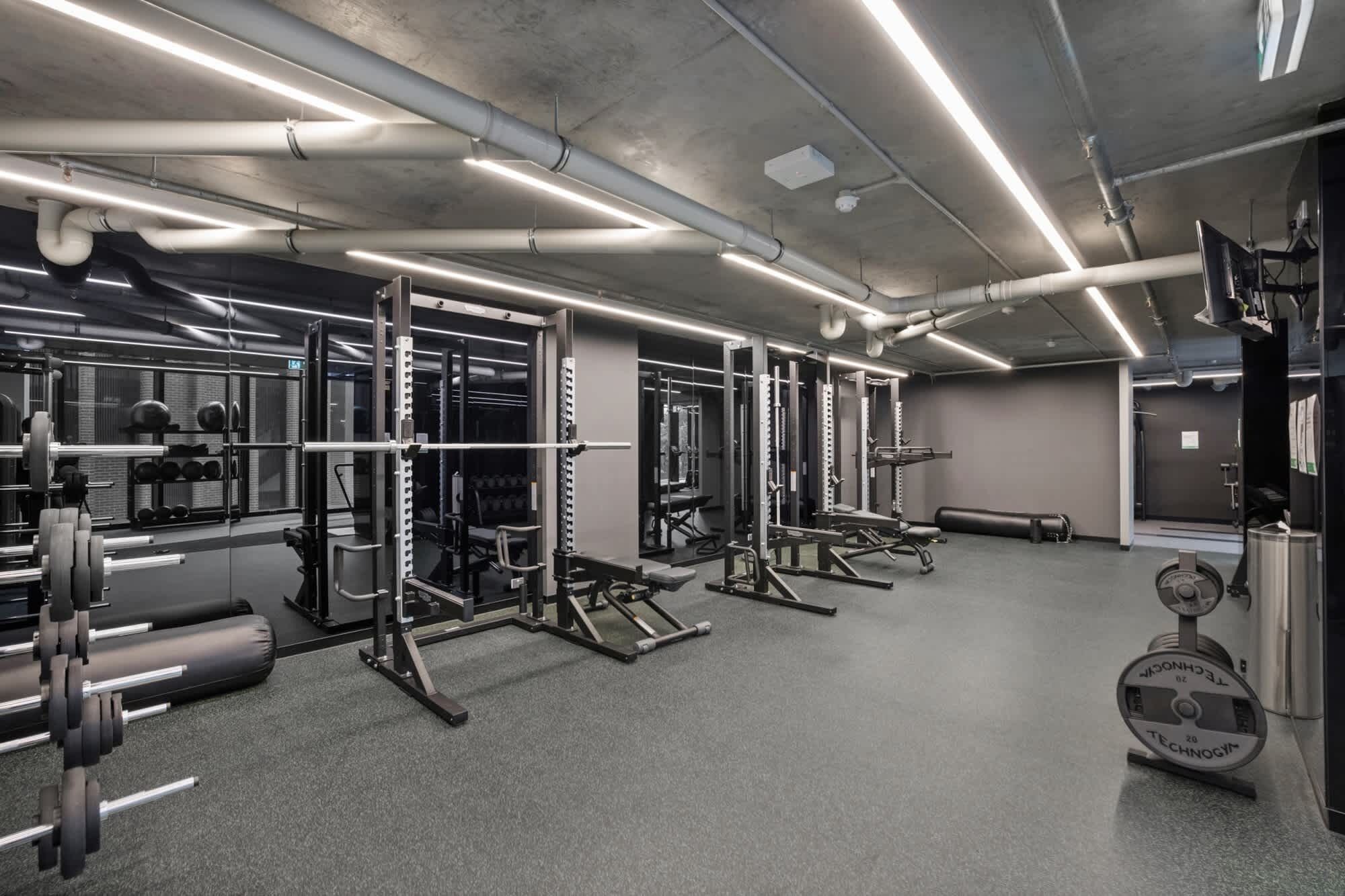 A gym with weightlifting equipment, mirrors, and a grey carpeted floor.