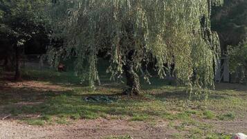 Enceinte de lâhĂ©bergement