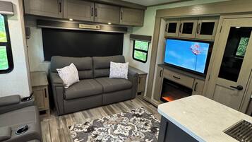 Smart TV, chimenea, reproductor de DVD y estéreo