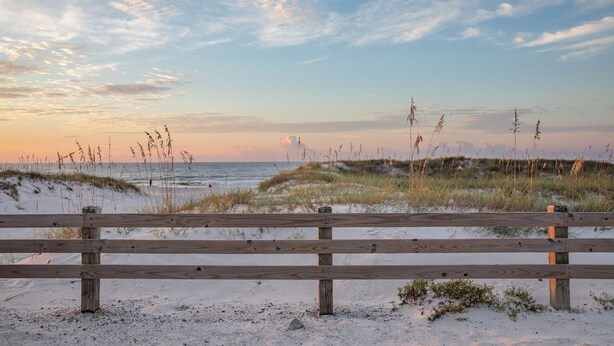 A wooden bench in a sandy area with a view of the ocean and dunes.