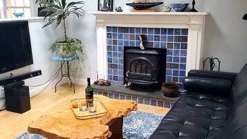 Smart TV, fireplace, books