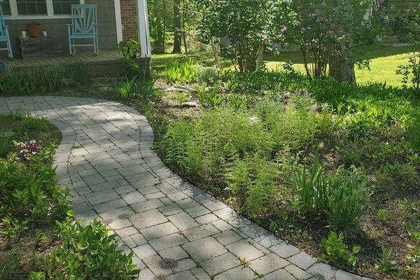 المنطقة المحيطة بالمنشأة