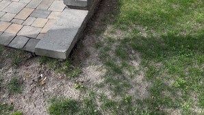 Un pati pavimentat amb escales de pedra que condueixen a una zona enjardinada, envoltat d'arbres i una casa al fons.