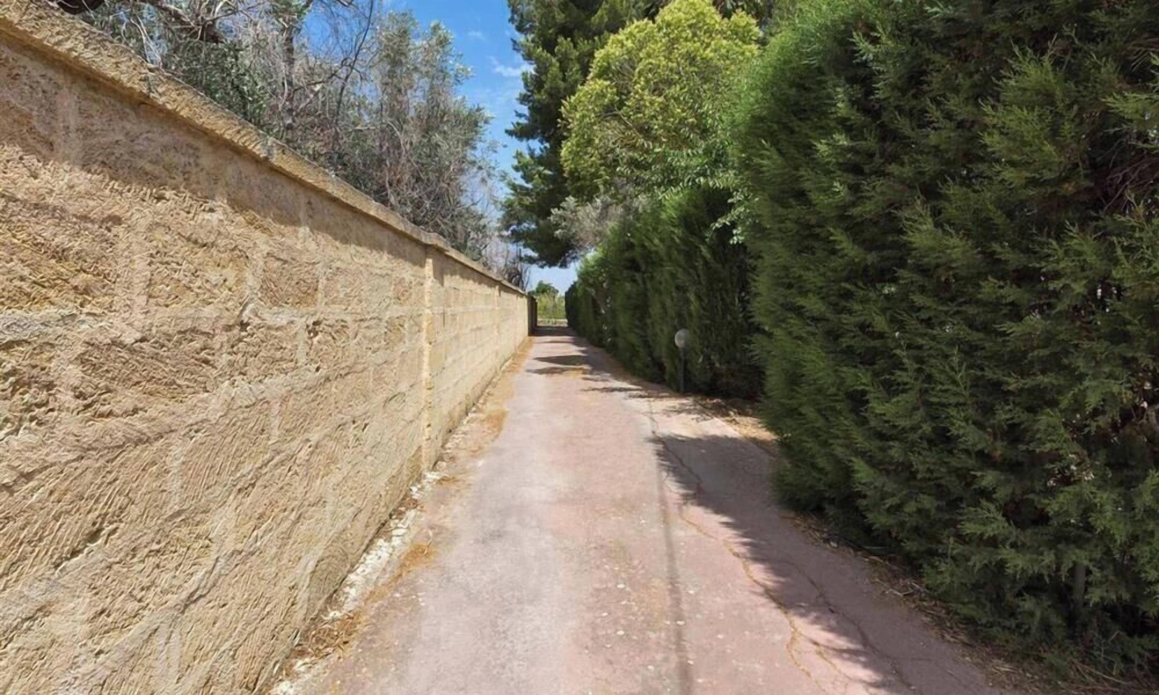 A narrow paved path flanked by a stone wall on one side and dense evergreen trees on the other.