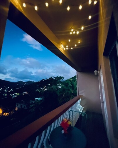 Mountain veiw apartment in St George’s