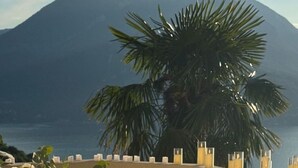 Tavola imbandita con vista su una montagna e una palma.