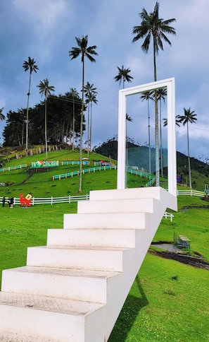 Área da propriedade