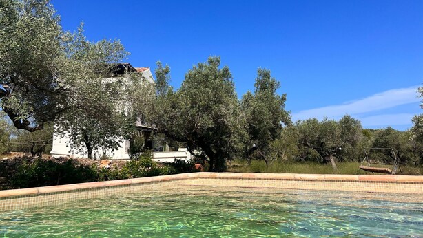 A clear pool surrounded by trees and a white building with a tiled roof. - MAS GINJOL (Tortosa)