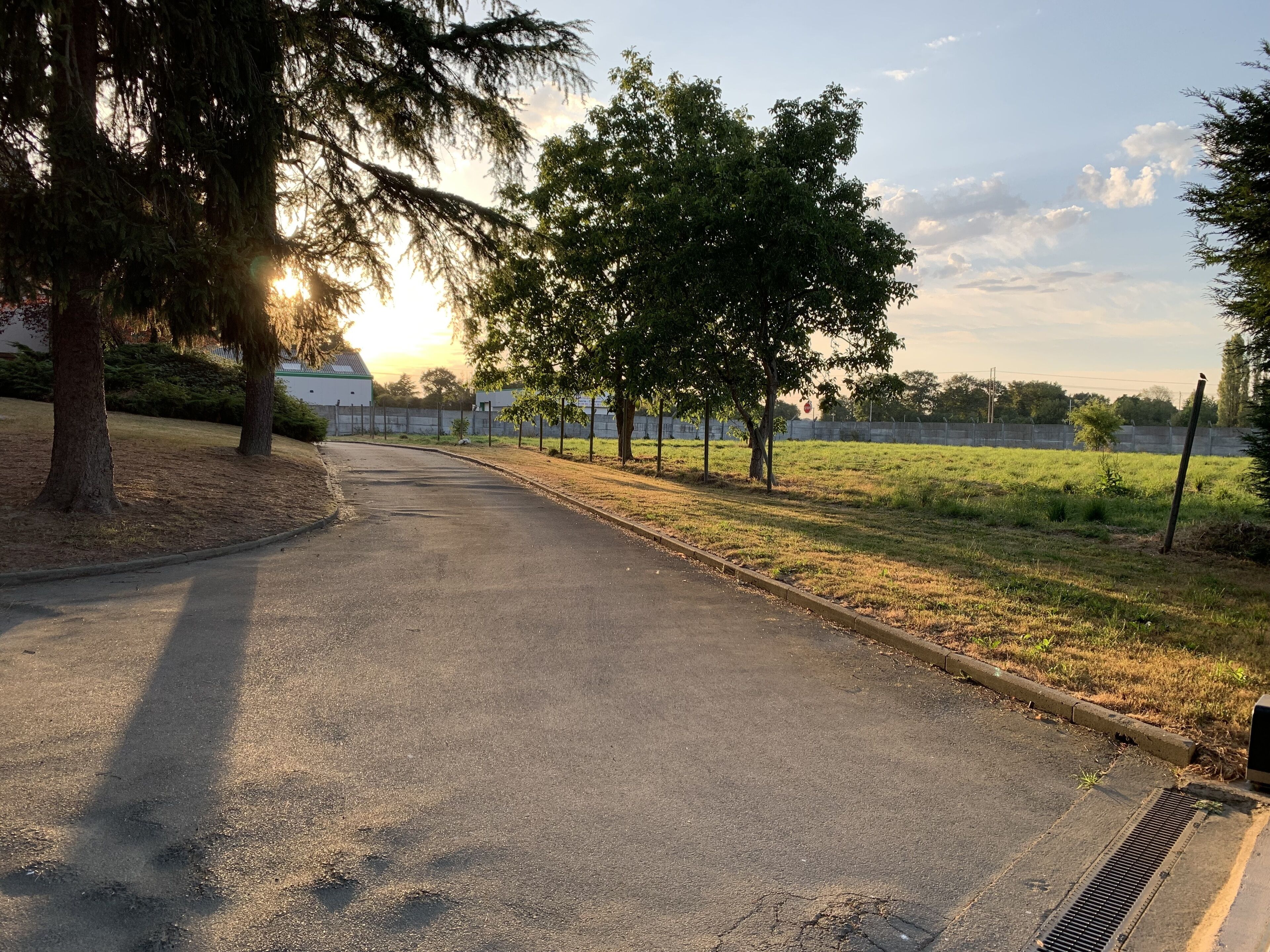 Una strada asfaltata con alberi su un lato e un prato erboso sull'altro.