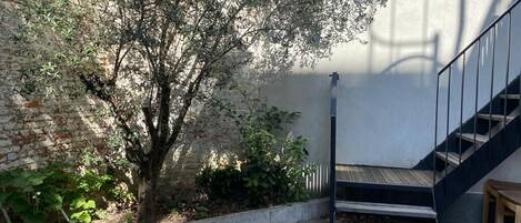 المنطقة المحيطة بالمنشأة