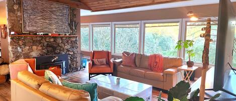 Smart TV, fireplace, video games, books
