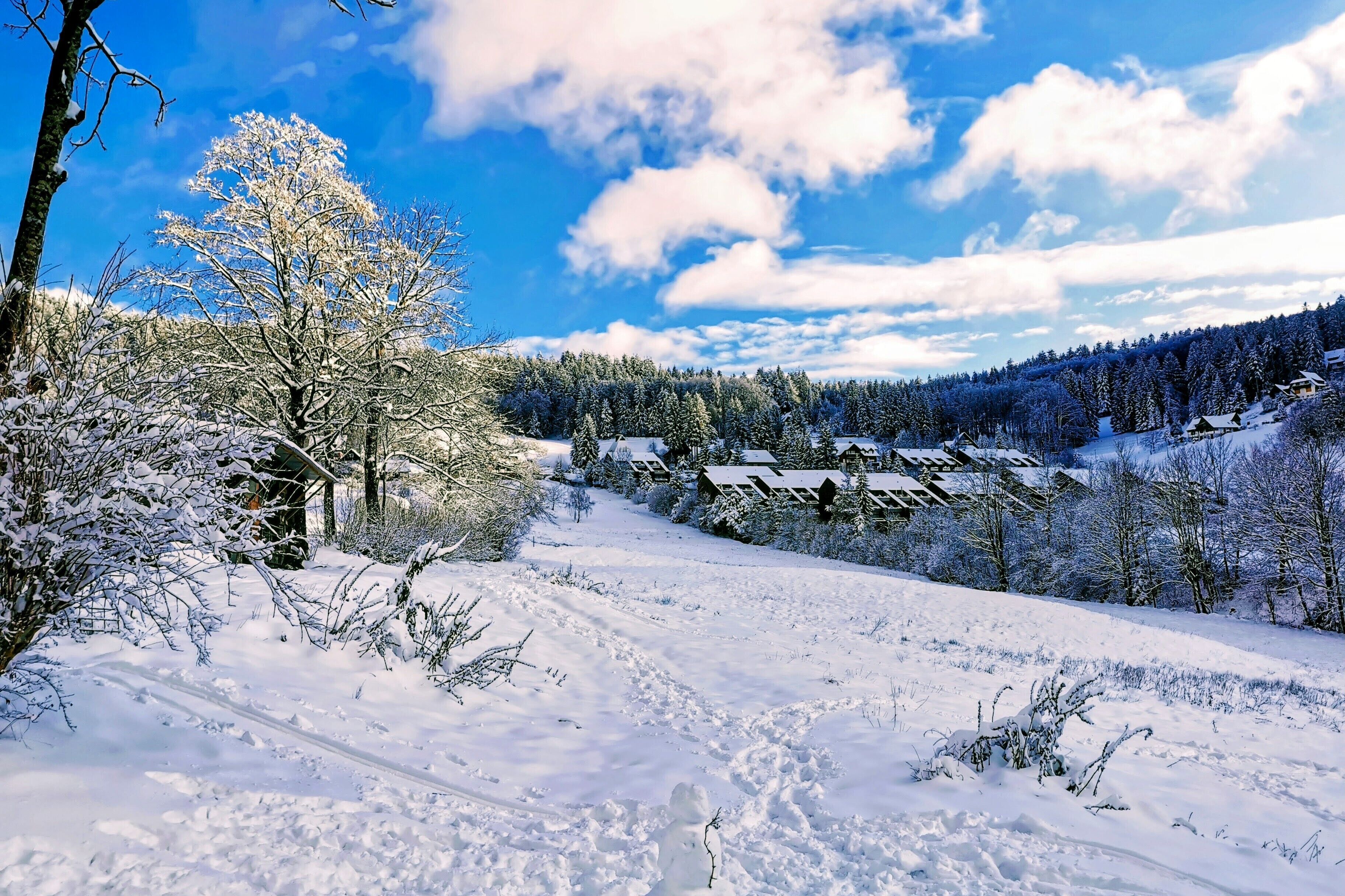 Sports d’hiver