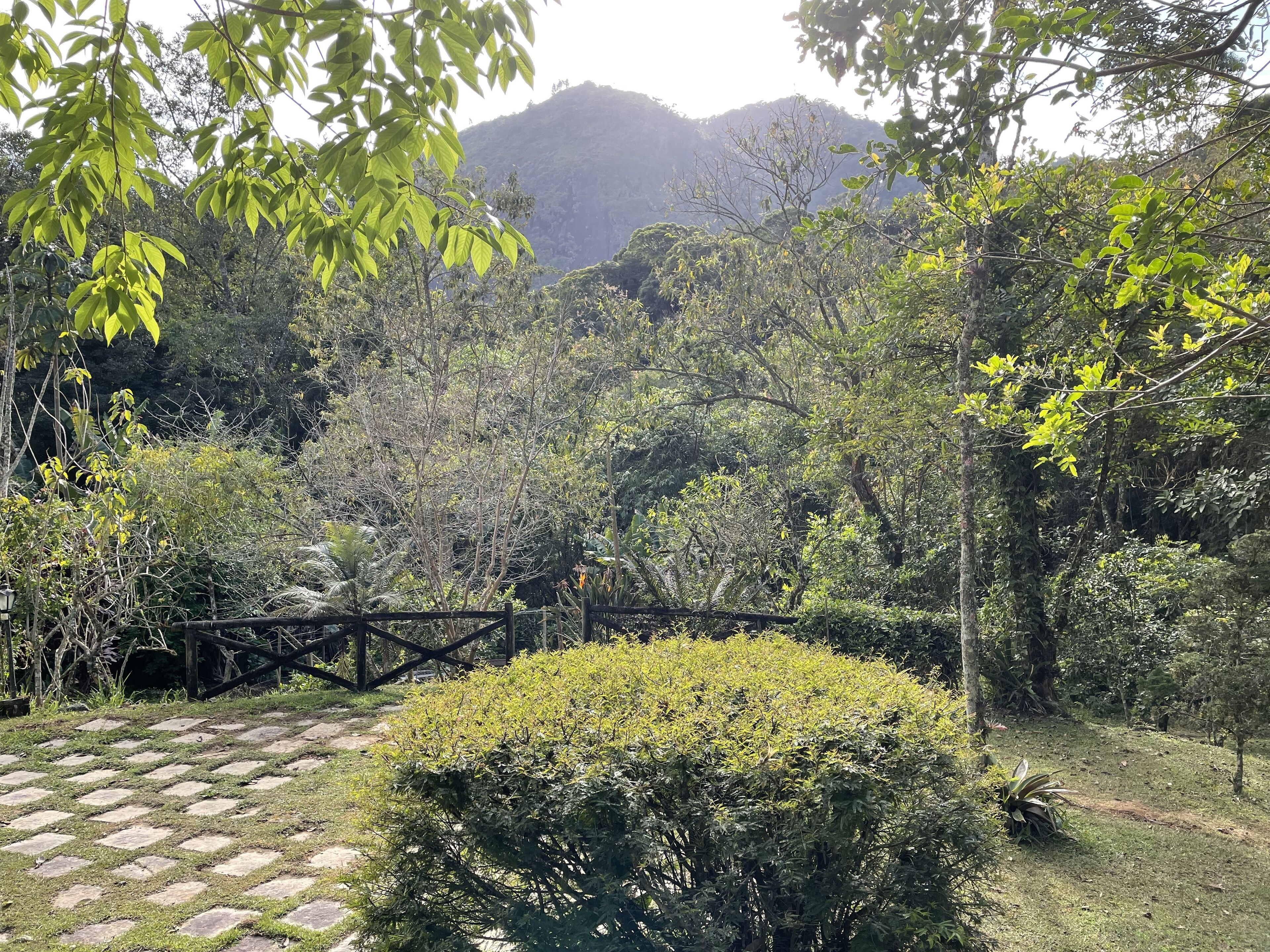 Pemandangan sekitar dari properti