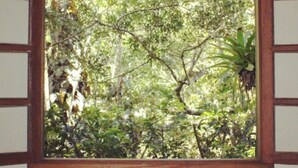 A window with a wooden frame and white panels, overlooking a dense, green forest. - Casinha no sítio Calmamente  (Teresópolis)