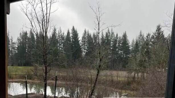 A wooden deck leading to a natural landscape with trees and a body of water. - Peaceful Escapes and Retreats (Battle Ground)