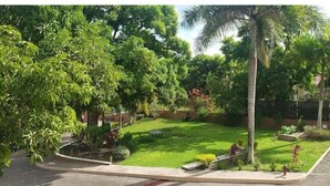Un jardin bien entretenu, agrémenté de divers arbres et arbustes, d’une pelouse et d’un chemin pavé.