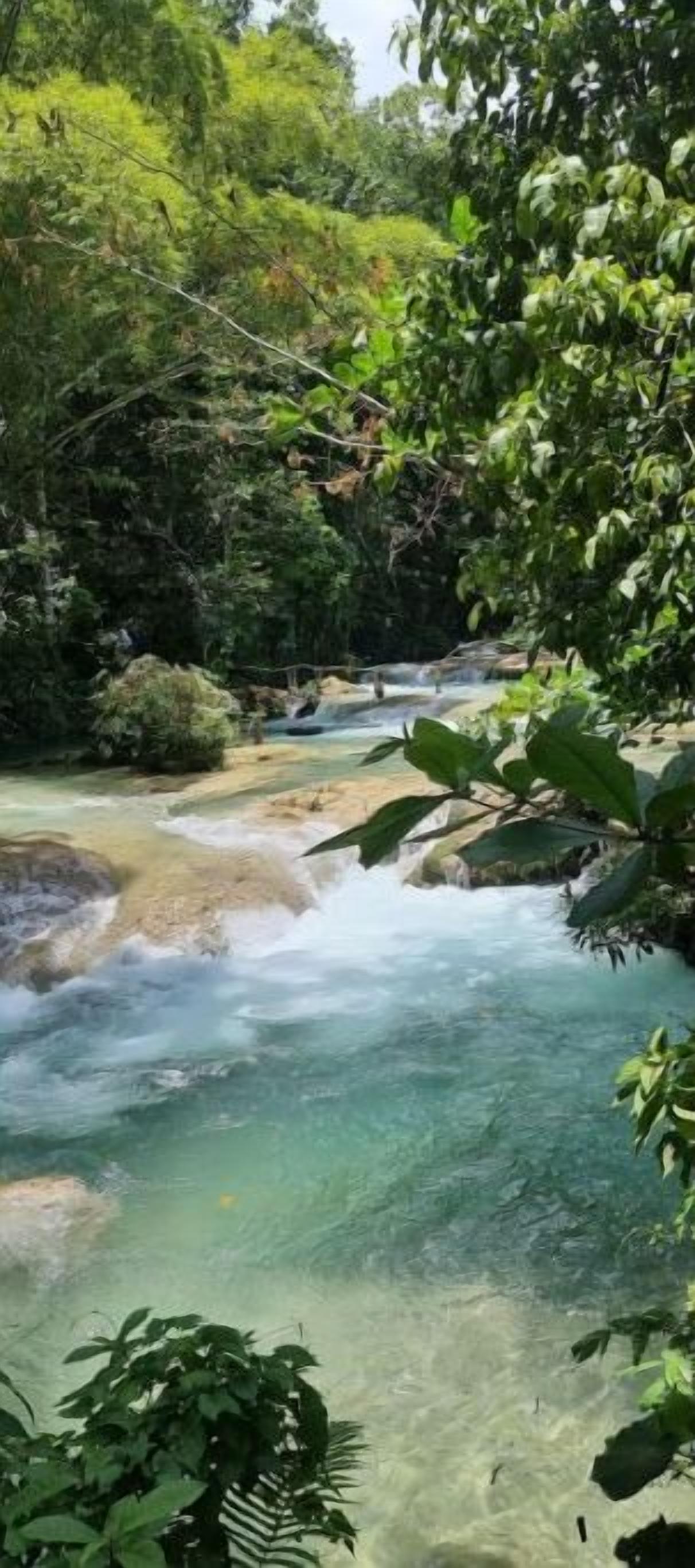 A natural landscape with a flowing river, surrounded by dense greenery and trees.